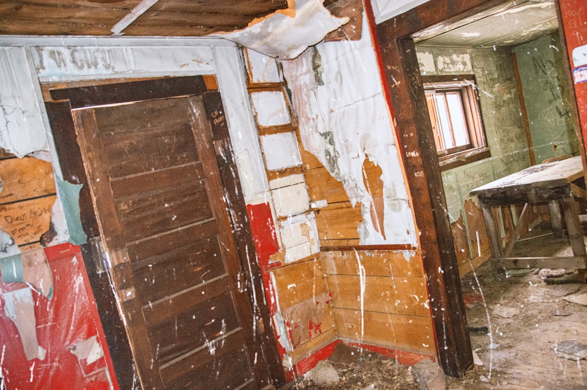 Mold Remediation service in Monroe, LA