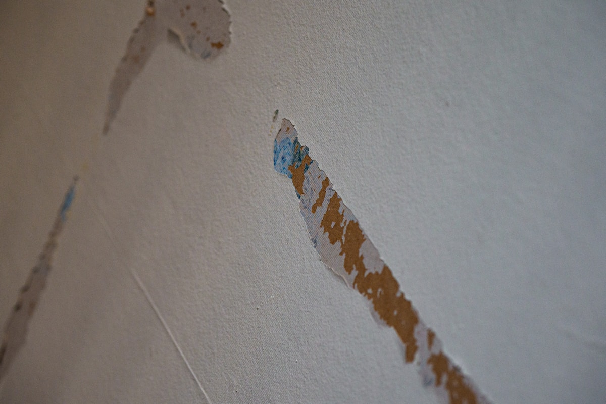 Sewage Cleanup service in Monroe, LA